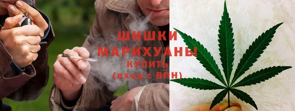 спайс Алзамай